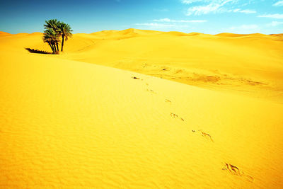 Scenic view of desert against sky