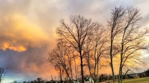 Silhouette bare trees against sky during sunset