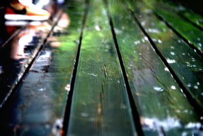 Full frame shot of wet leaves during rainy season