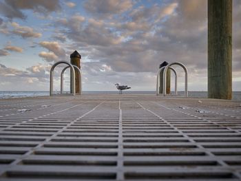 Surface level view of metallic pier with seagull against sky