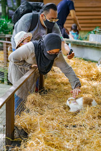 Petting a cute brown bunny in a wooden cage by a little girl.