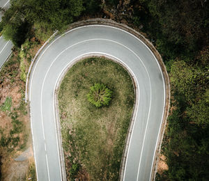 High angle view of road amidst trees