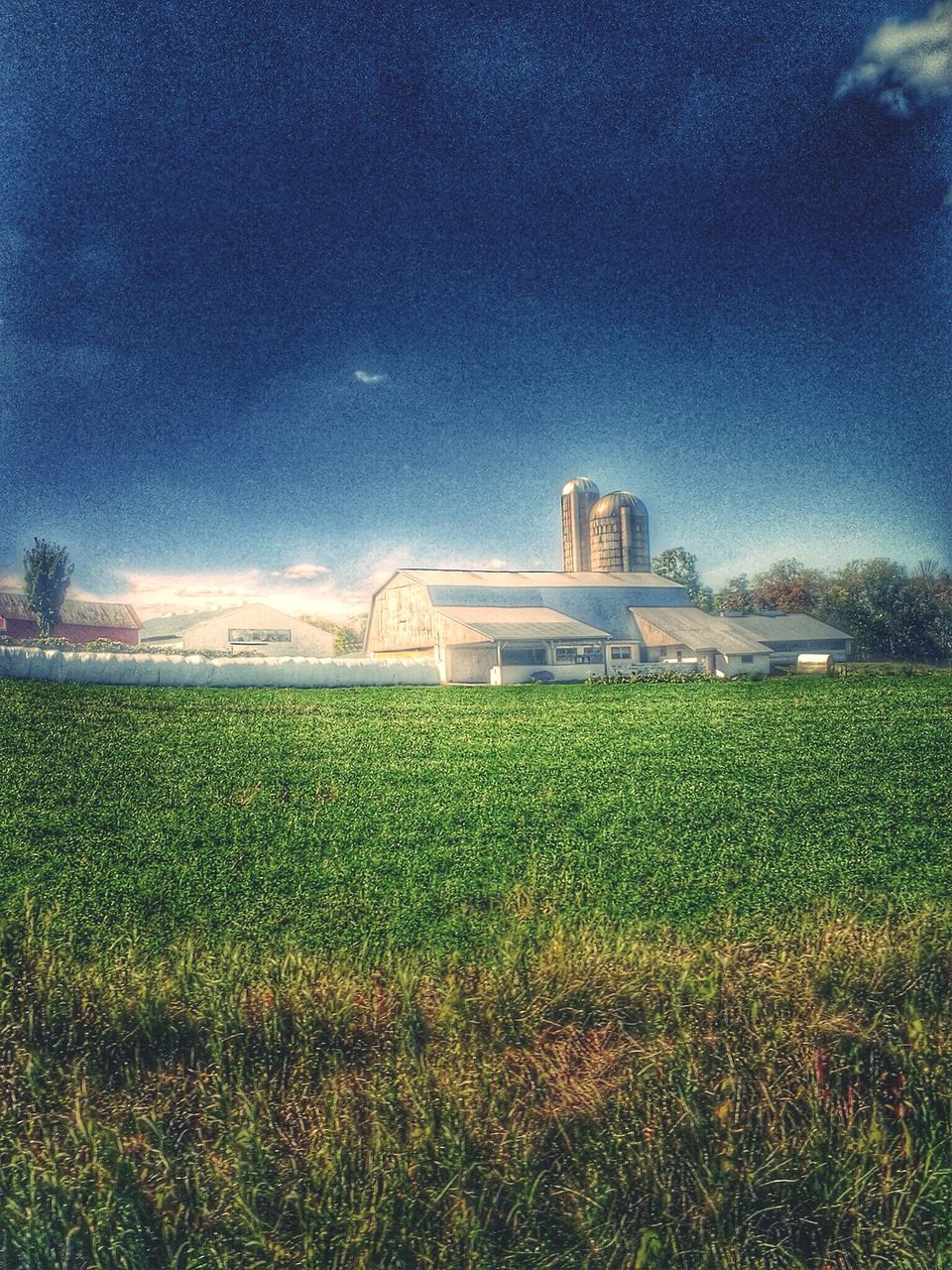 architecture, built structure, building exterior, grass, sky, field, landscape, blue, green color, cloud - sky, nature, rural scene, cloud, day, mid distance, grassy, travel destinations, growth, outdoors, agriculture