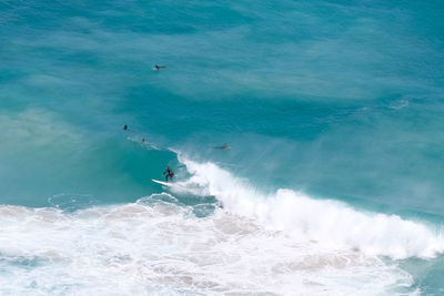 High angle view of surfers in sea