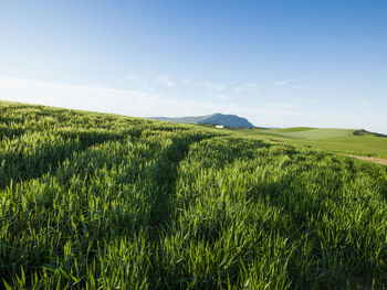 Agricultural landscape in ardales, malaga, spain