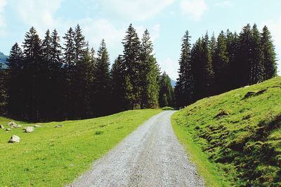 Road amidst trees against sky