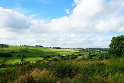 Countryside farms of haworth, yorkshire in summer