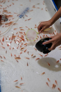 Cropped hand of woman painting on table