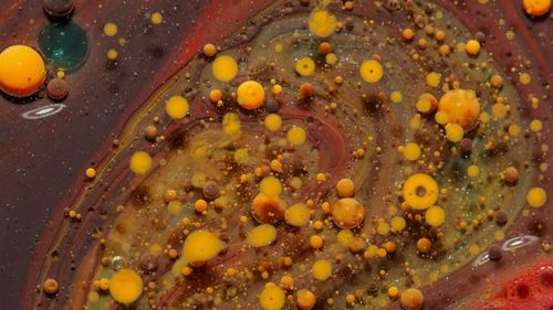 High angle view of yellow eggs in container