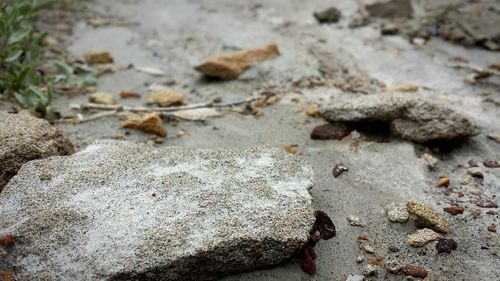 Close-up of stones