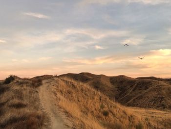 Scenic view of landscape against sky during sunset