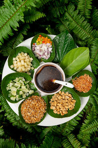 High angle view of plants and leaves