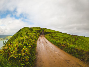 Road amidst plants and land against sky