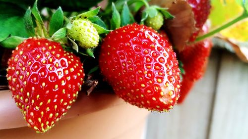 Close-up of strawberries