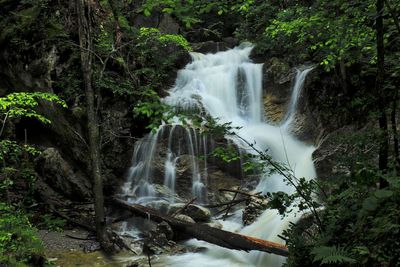 Waterfall in forest