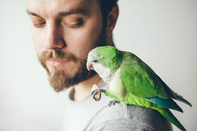 Close-up of bird sitting on mans shoulder