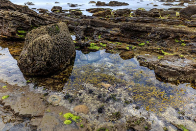 Rocks in water against sky