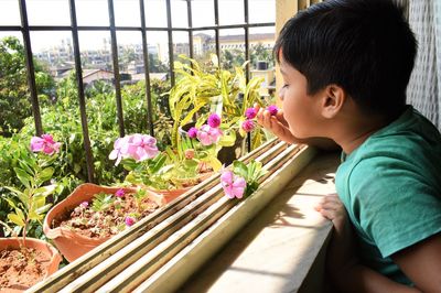 Side view of boy looking at flowering plants against window
