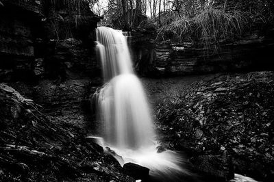 Scenic view of waterfall in forest