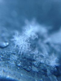 Full frame shot of water surface