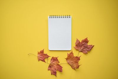 Close-up of autumn leaves on yellow background