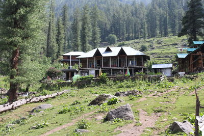 Built structure on land by trees and plants in forest