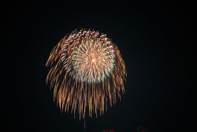 Blurred motion of firework display in city against sky at night