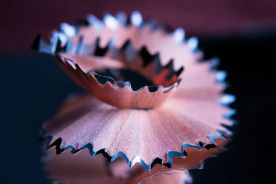 Close-up of flower against blurred background