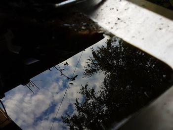 Low angle view of snake against sky
