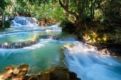 Scenic view of waterfall in forest