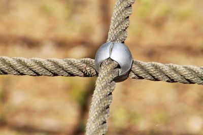 Close-up of rope tied to metal fence