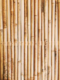 Full frame shot of bamboo wall background