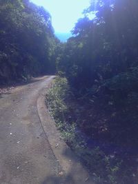 Road amidst trees against sky