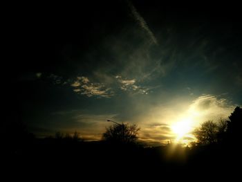 Silhouette trees against sky at night