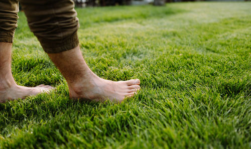 Low section of man standing on grassy field