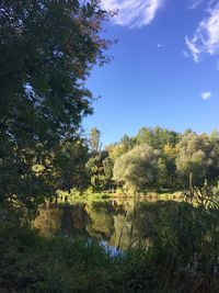 Scenic view of trees against sky