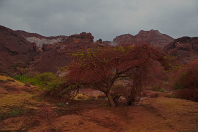 Scenic view of mountain against sky