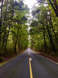 Road amidst trees in forest