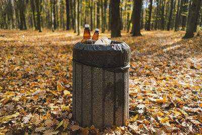 Garbage in the forest. love nature. earth day