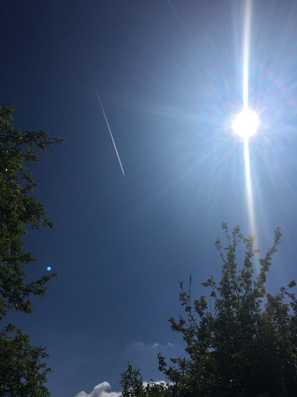 tree, sunbeam, sun, nature, beauty in nature, lens flare, outdoors, sunlight, vapor trail, no people, day, low angle view, blue, scenics, tranquility, clear sky, contrail, sky