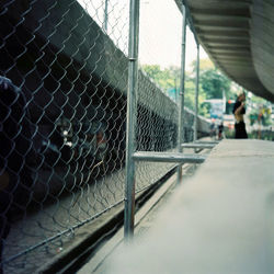 Close-up of chainlink fence