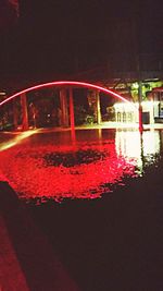 Close-up of pink flowers at night