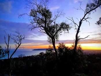 Silhouette trees on landscape against sky during sunset