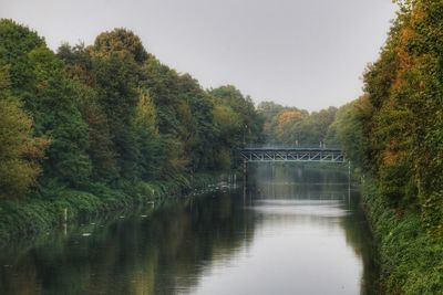 Bridge over river amidst trees against sky