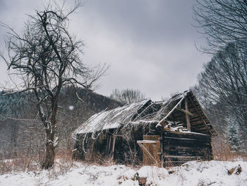 Snow covered bare trees and houses against sky during winter