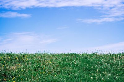 Scenic view of field against cloudy sky