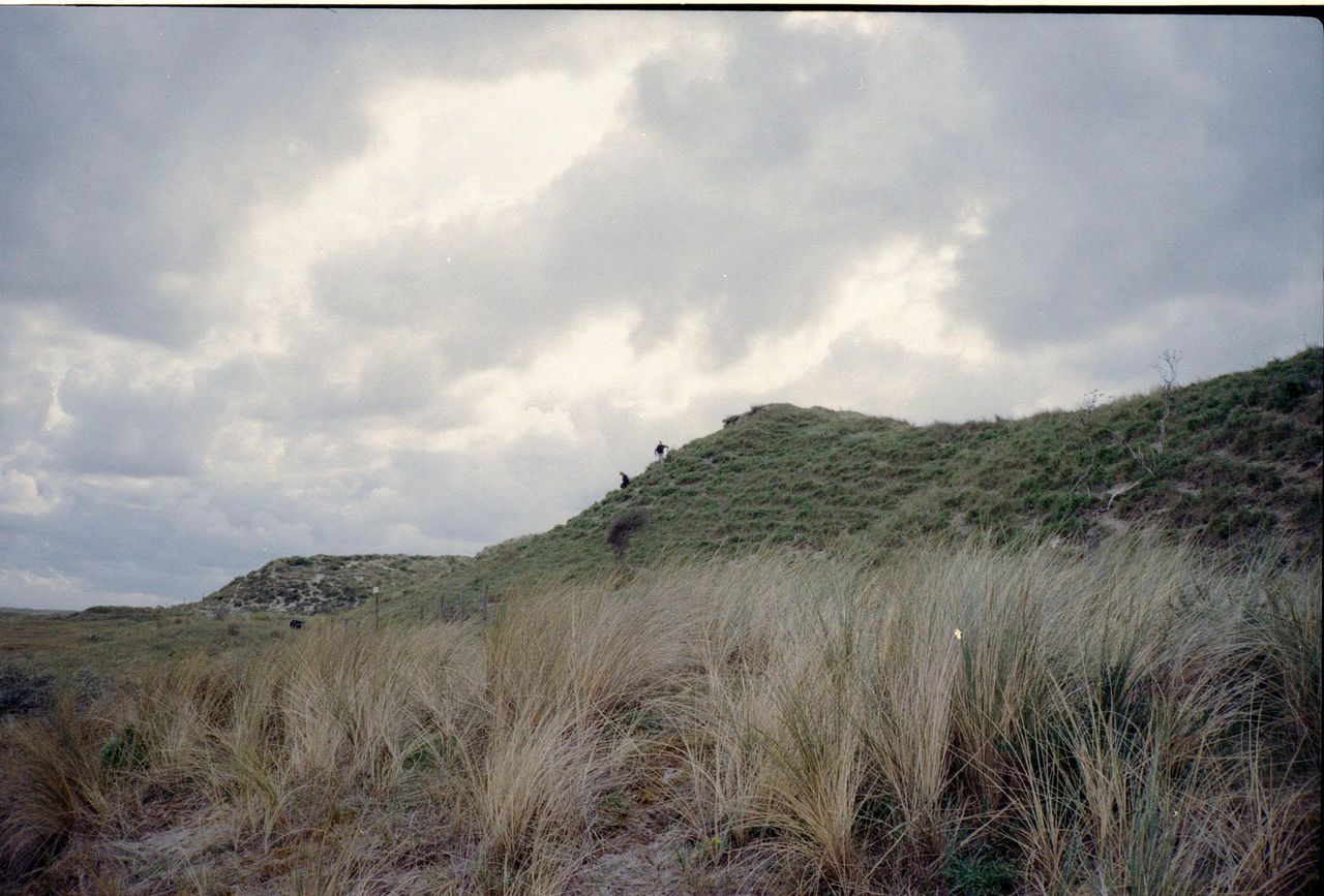 SCENIC VIEW OF LAND AGAINST SKY