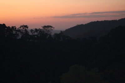 Silhouette trees against sky during sunset