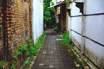 Narrow alley amidst buildings