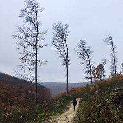 Rear view of man walking on mountain against sky